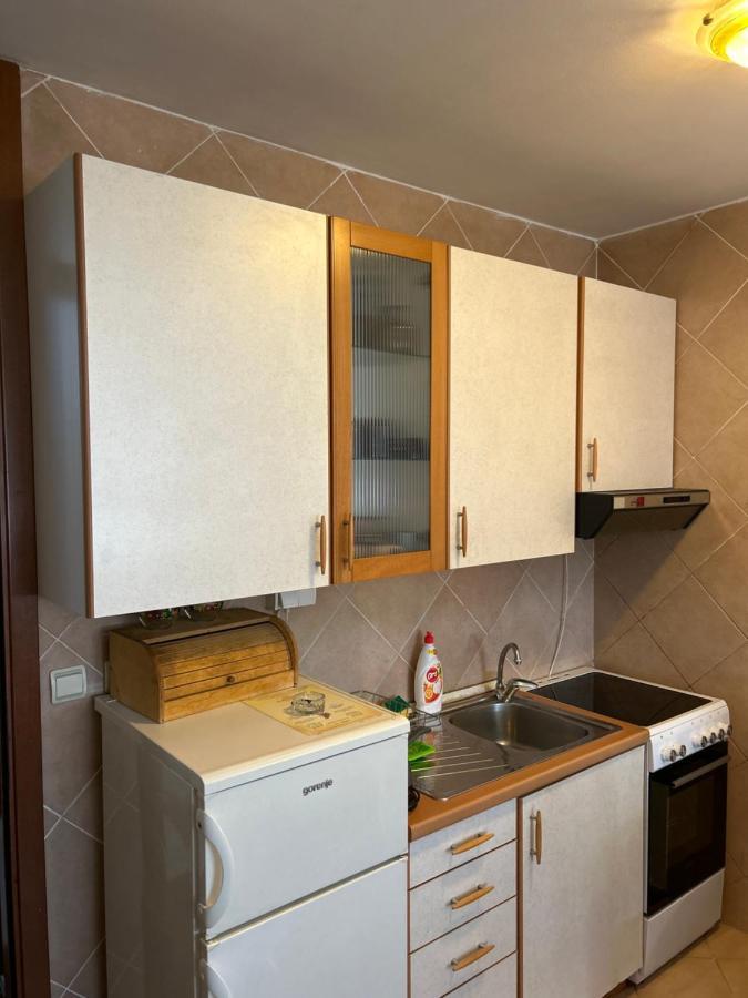 פודגוריצה Apartment Sara מראה חיצוני תמונה