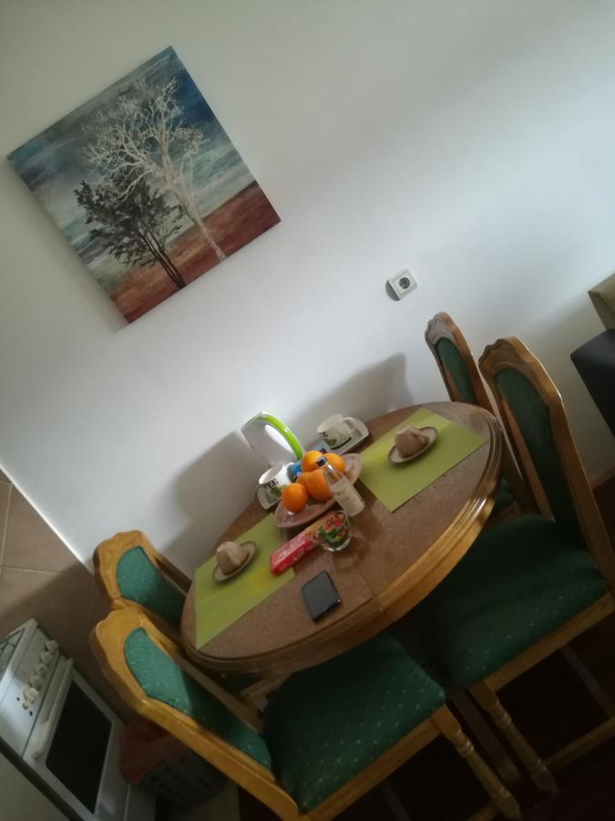 פודגוריצה Apartment Sara מראה חיצוני תמונה